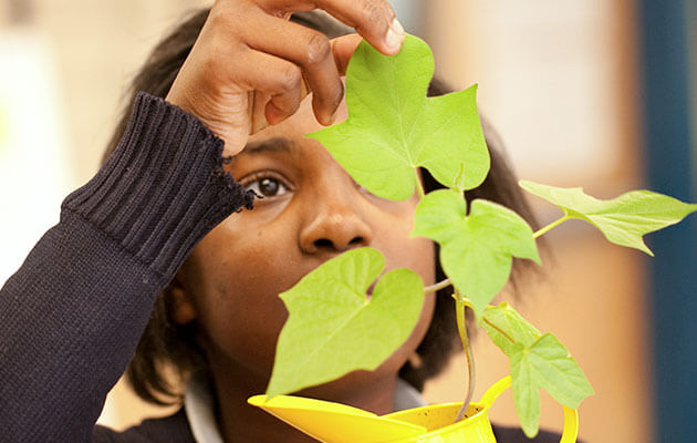 Girl with plant