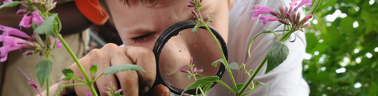 Young boy in nature with magnifying glass