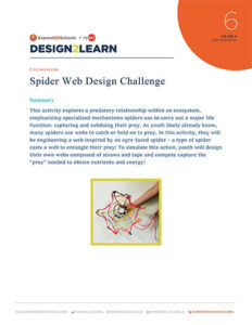 Spider Web Design Challenge